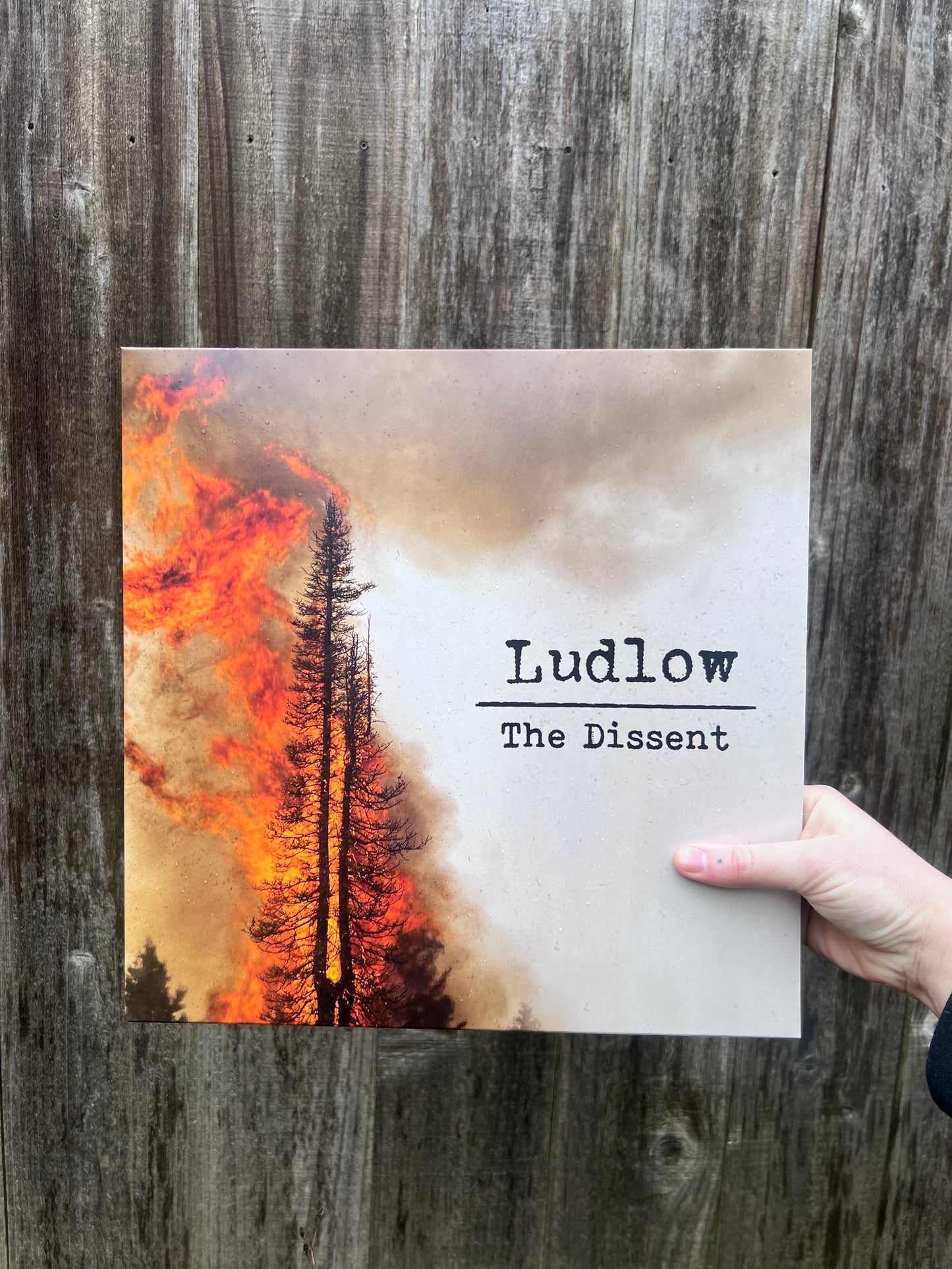 THE DISSENT - VINYL