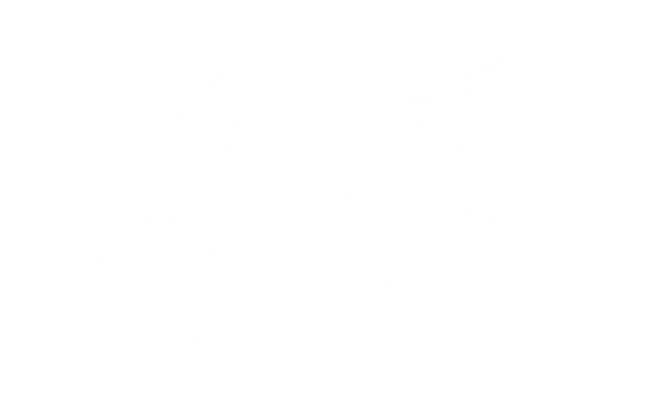 Ludlow Merch